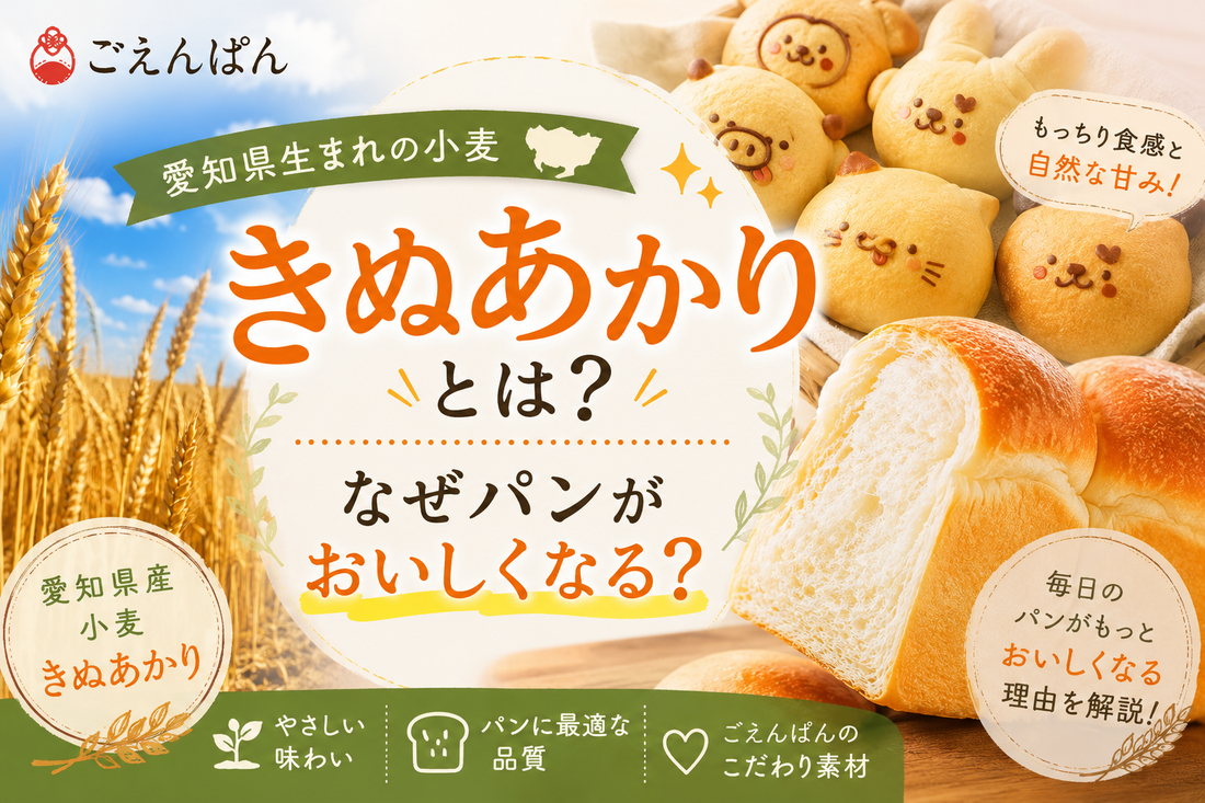 愛知県産小麦きぬあかりを使用したパンと特徴を紹介するイメージ
